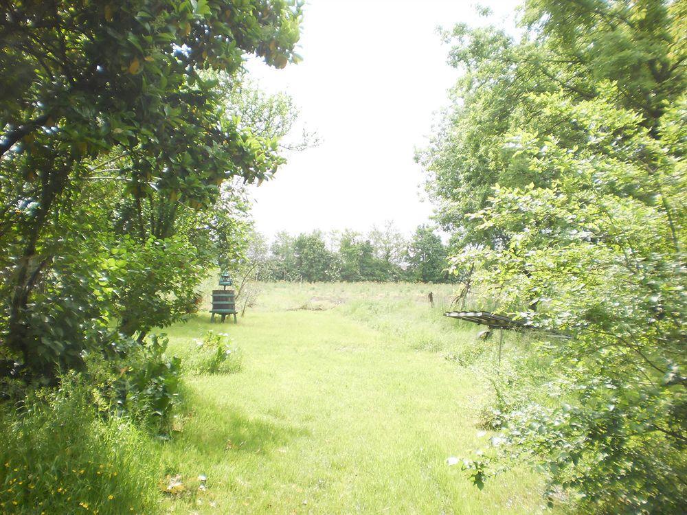 Green Fields Pádua Exterior foto