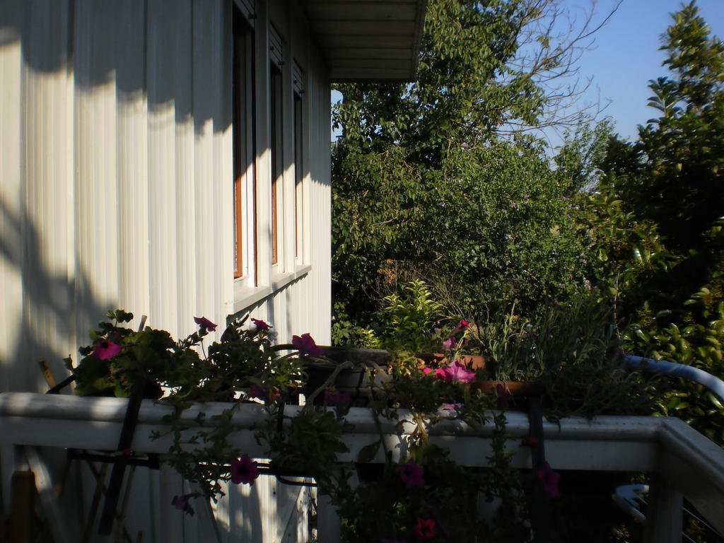 Green Fields Pádua Exterior foto